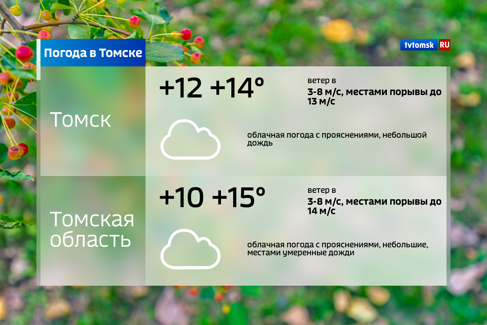 Погода в томском. Погода в Томске. Погода в Томске сегодня. Погода в Томске на завтра. Томск климат.