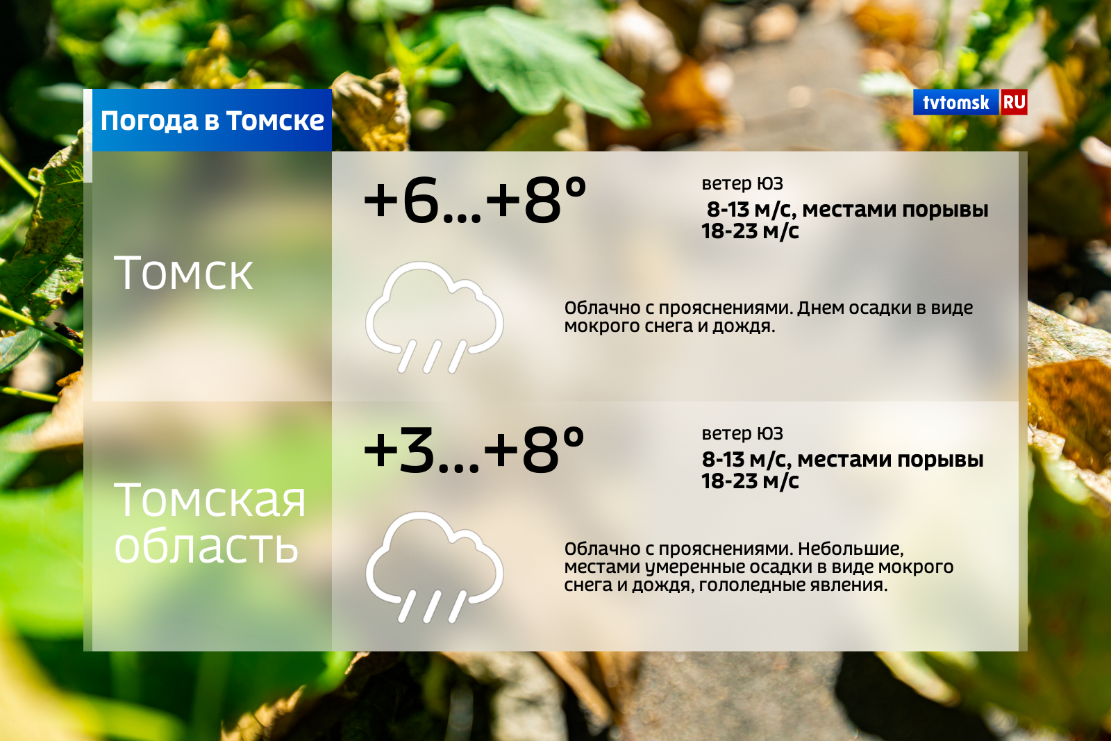 Погода в томском. Погода в Томске. Погода в Томске сегодня. Погода в Томске на 10. Погода в Томске на 3.