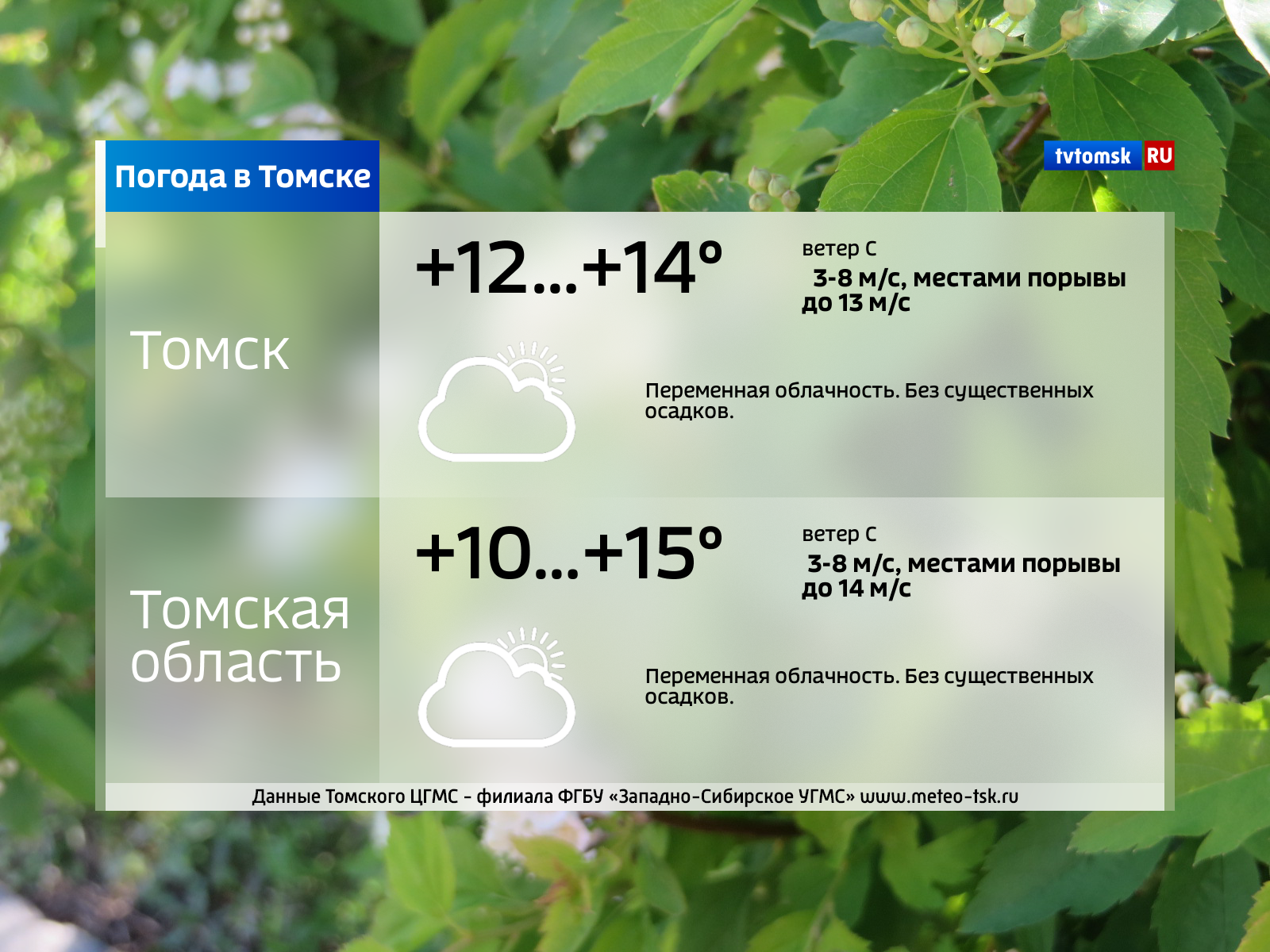 Погода в томске на 14. Погода в Томске. Погода в Томске сегодня. Прогноз Томск. Погода в Томске сейчас.