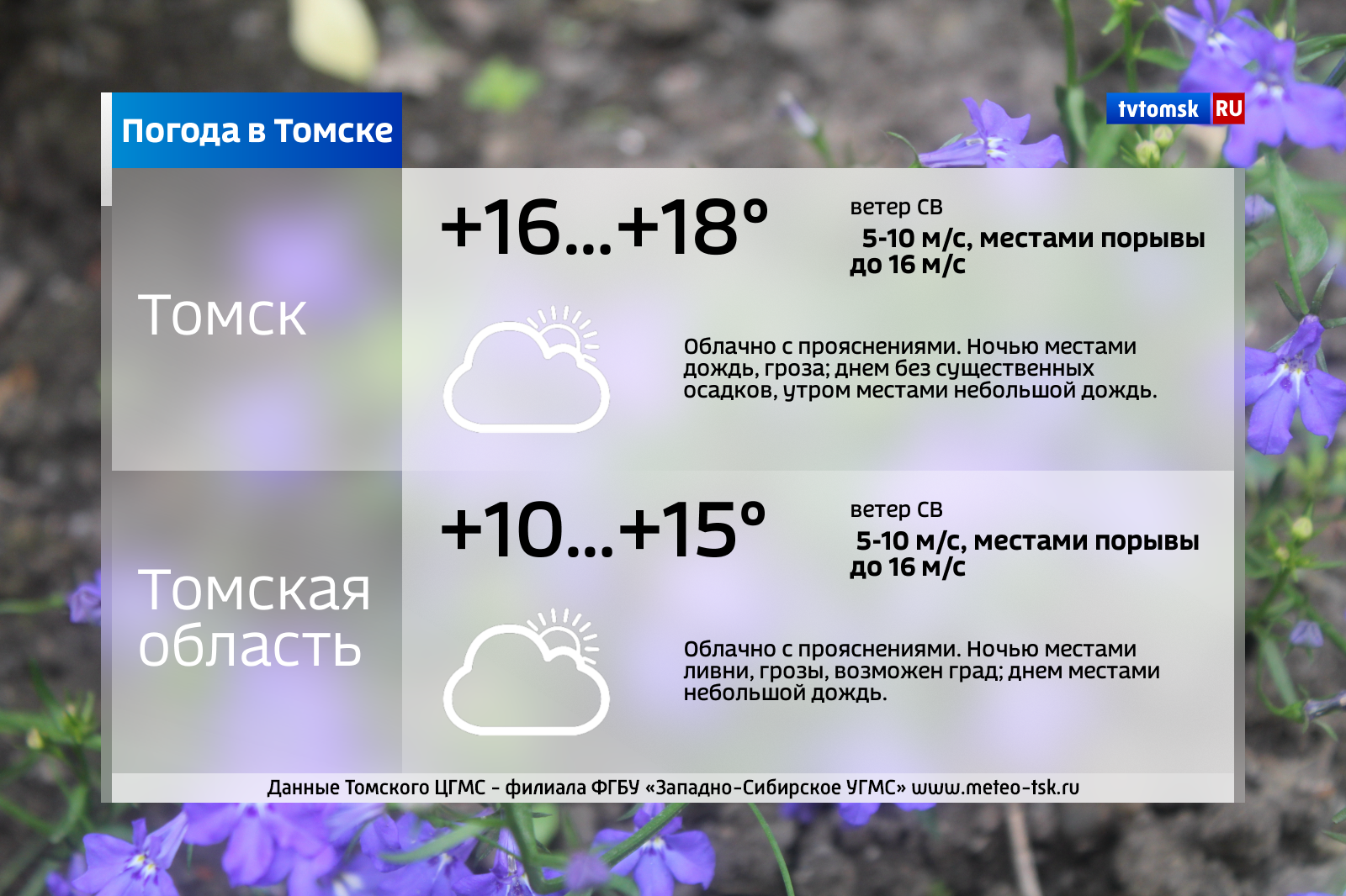 Погода в томском. Погода в Томске. Погода в Томске сейчас. Погода в Томске на завтра. Погода в Томске сегодня.