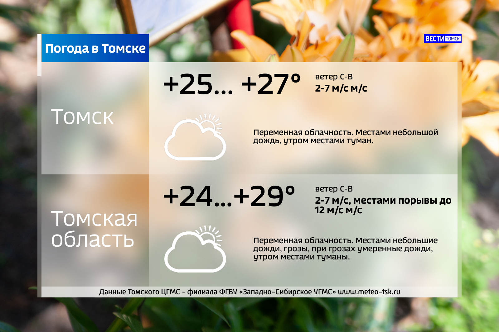 Погода в томске на 14. Погода в Томске на завтра. Погода в Томске сегодня. Томск климат. Осадки Томск.