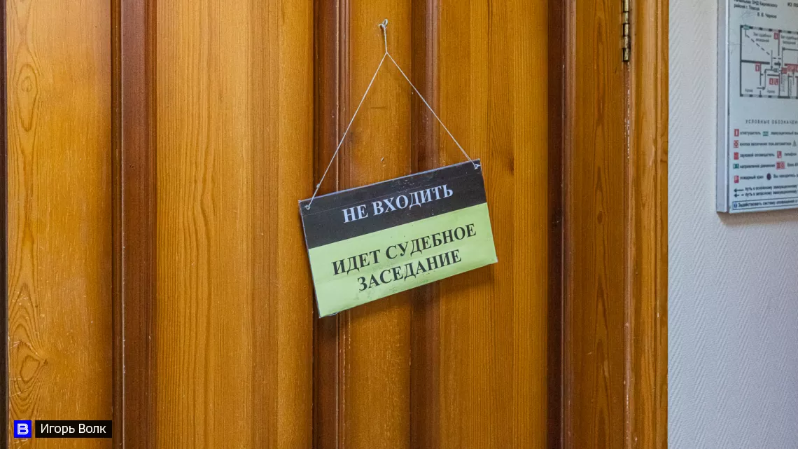 Школьнице в Каргаске, пострадавшей от укусов бездомной собаки, могут выплатить 45 тысяч рублей
