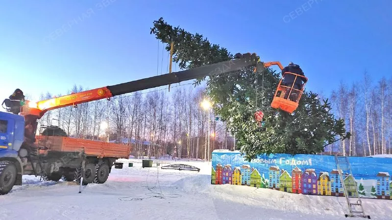 Ураганный ветер снес новогоднюю елку в Стрежевом