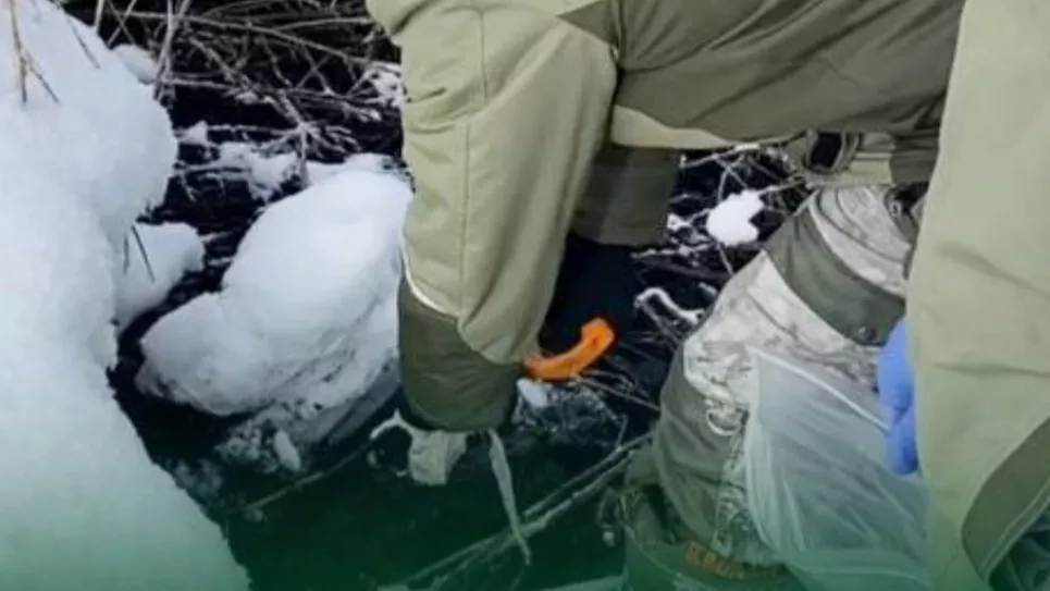 Водители ассенизаторских машин залили отходами землю у села Кривошеино