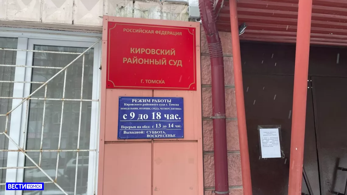 Томича осудили на год за избиение супруги