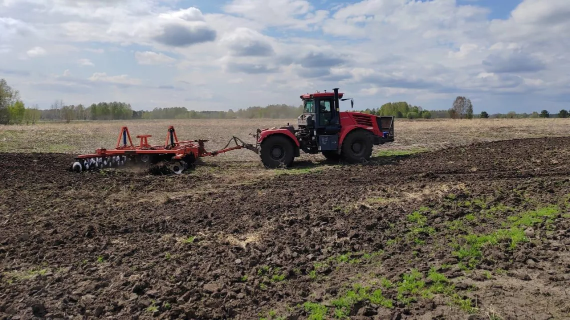 В Томской области выполнен план по севу льна, гороха и моркови