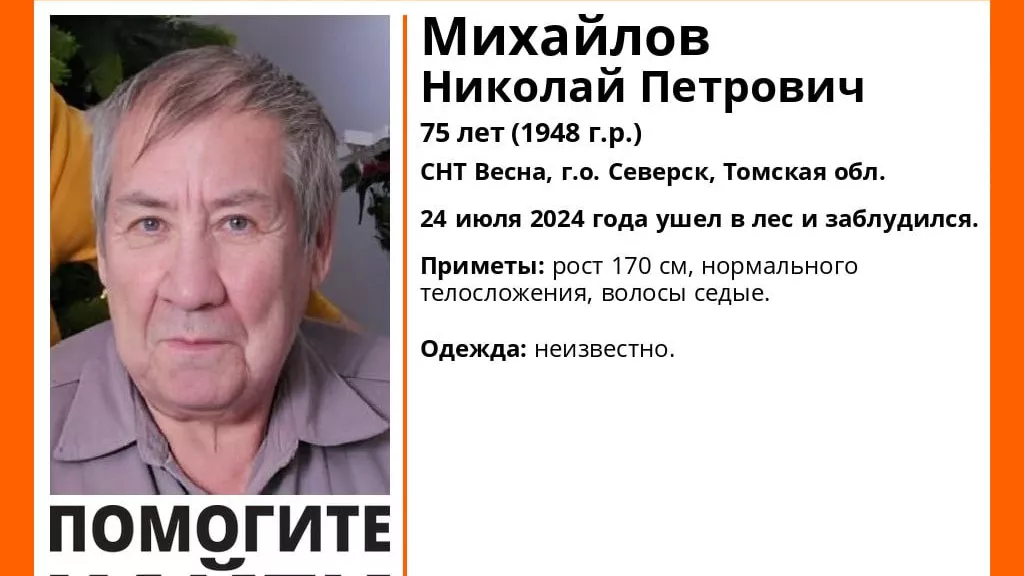 Пожилого мужчину ищут в лесу возле поселка Самусь