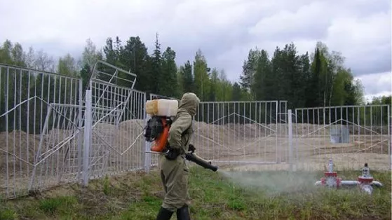 Томским организациям для оказания услуг по дезинфекции потребуется лицензия