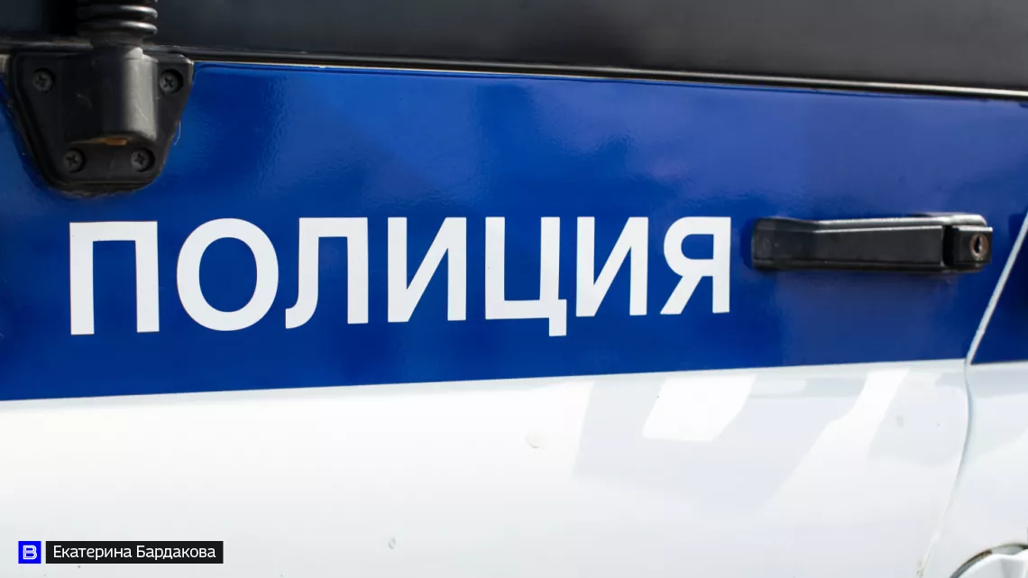 Цыганка из Томска обвиняется в краже автомобиля