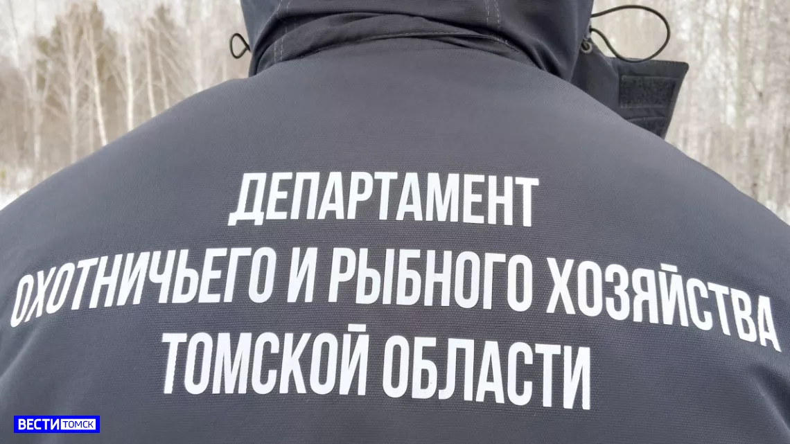Краснокнижная косуля принесла несчастье охотнику из Томска