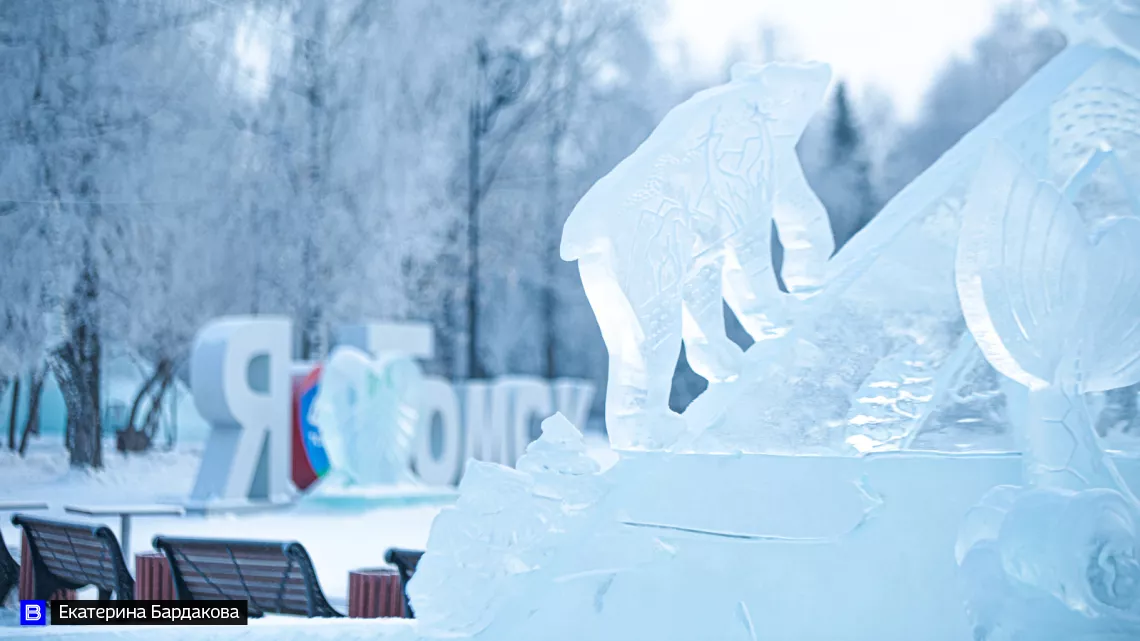Ветер до 12 м/с и температура до -19°С ожидаются в Томской области 27 января