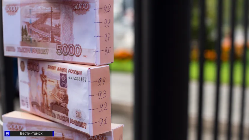 Директор учреждения в Томской области уволен за сокрытие доходов на 11,5 млн рублей