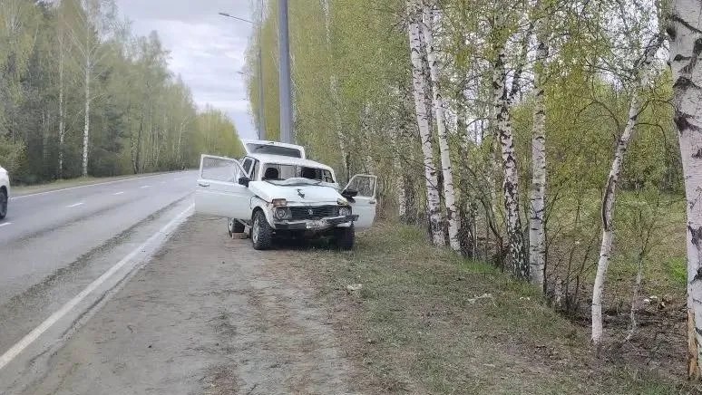 В Томском районе автомобиль врезался в дерево