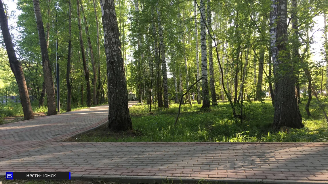 В Томске пройдет спортивный забег в честь 422‑летия города