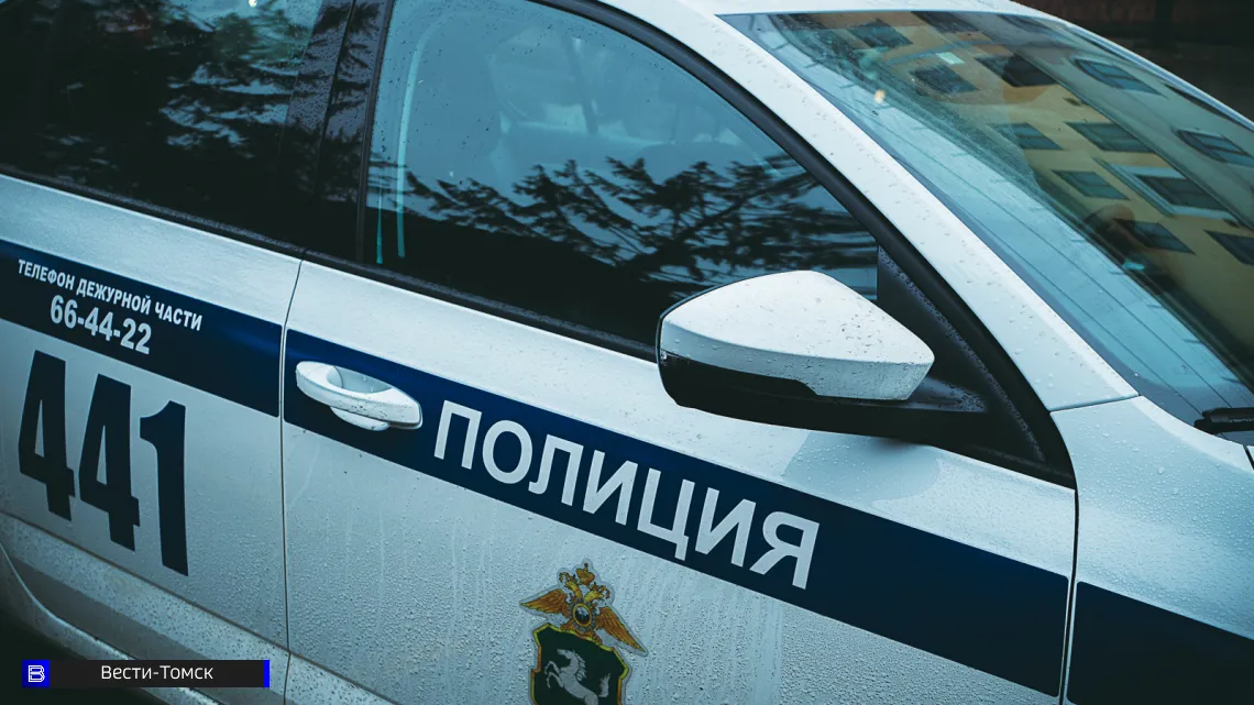 В Колпашеве поймали оружейников-любителей