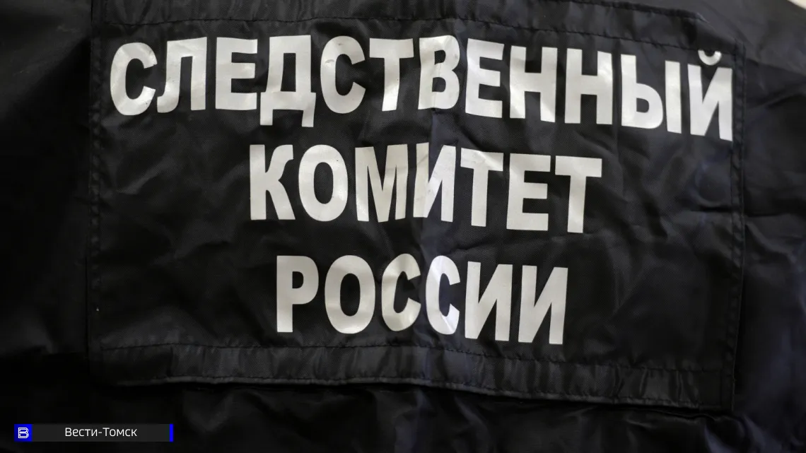 Бастрыкин поручил отчитаться по делу об изъятии детей у томички