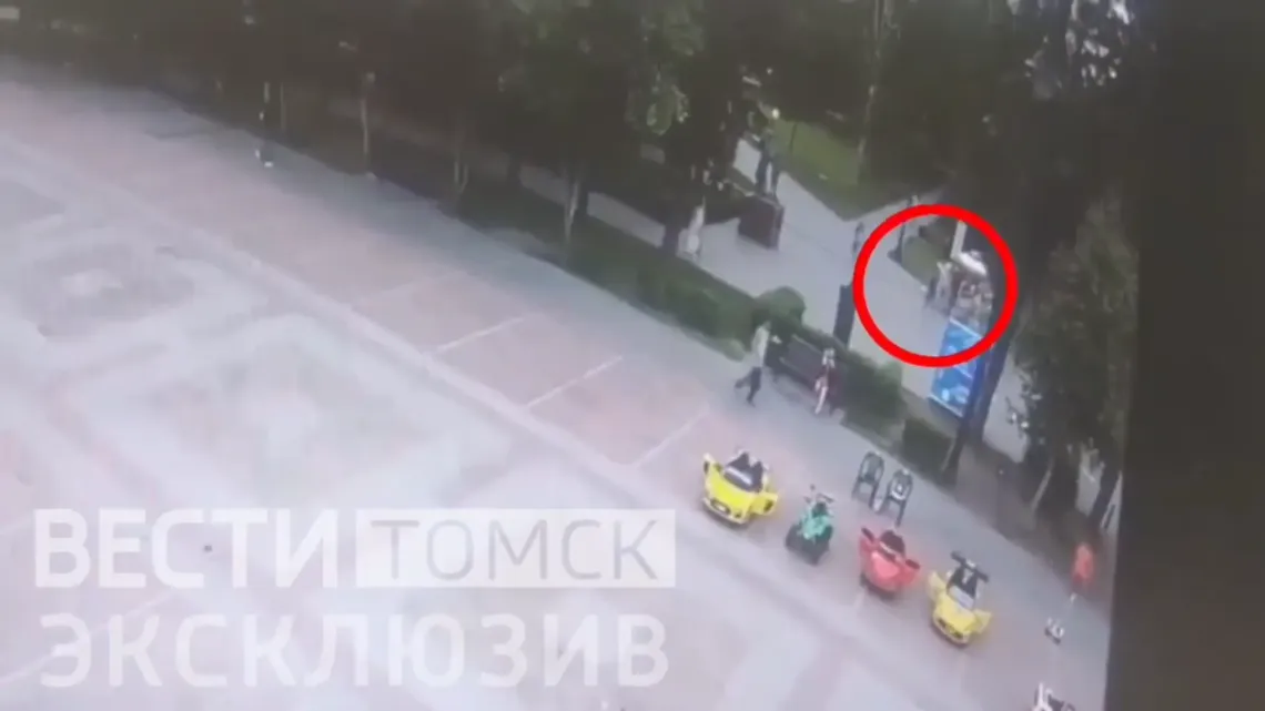 Кадры с места событий: появилось видео инцидента с конной каретой в Томске