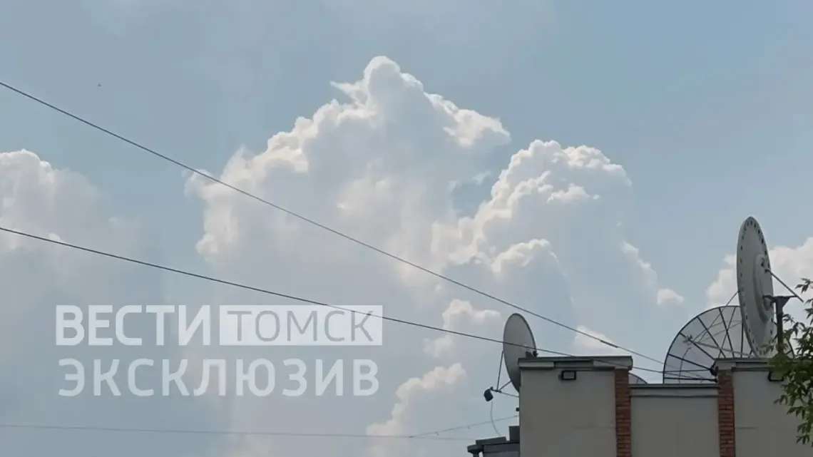 Гигантская крыса шокировала томичей возле Белого озера