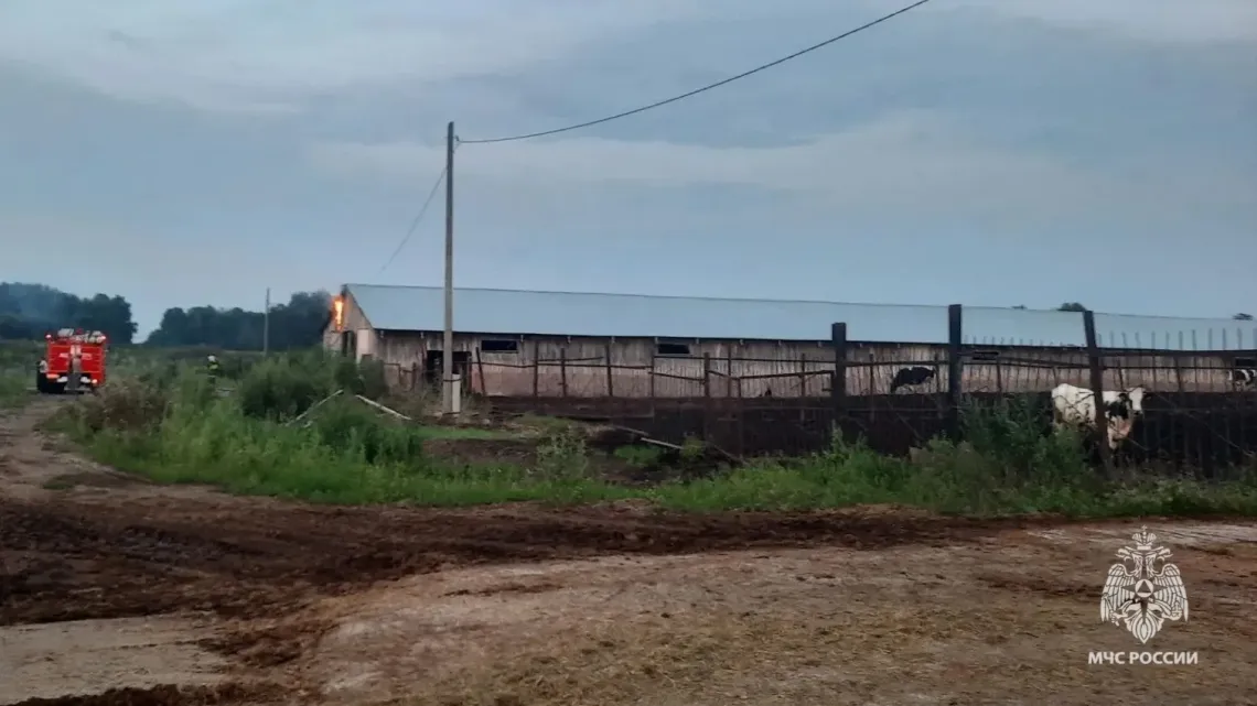 Сотню коров спасли при пожаре в Томской области