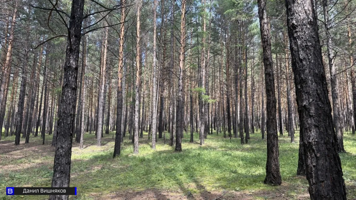 Пернатую семью в эпицентре пожара спасли томские лесные десантники