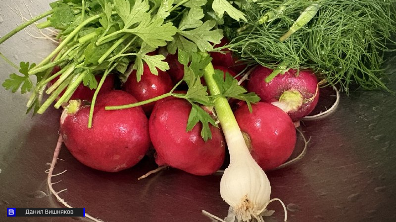 Томичам рассказали какие продукты стоит включить в осенний рацион для поддержки организма